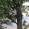 dawsonhamilton892 - @dawsonhamilton892 - TikTok