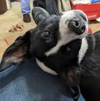 Dawson Hansen - Facebook