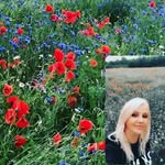 Dawson - @dawsonhanson748 - Instagram