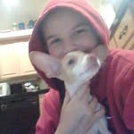 dawson james harrell - @dawson_the_chihuahua - Instagram