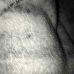 Harrison Dawson - @harrisondawson27 - Instagram