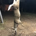 Dawson Hebert - @dawson.hebert - Instagram