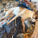 Dawsonhess - @dawsonhess15 - Instagram