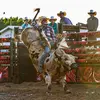 Dawson Horn - @dawsonhorn21 - TikTok