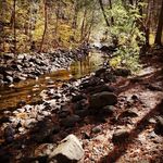 Dawson Hoffman - @dawsonhoffman.16 - Instagram