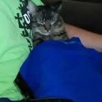 Dawson Holman - Facebook