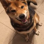 Dawson Holtz - @dawsonholtz - Instagram