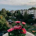 Dawson - @dawson_____hooper0.ojg - Instagram