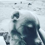 Dawson hunt - @dawsonhunt58 - Instagram