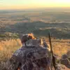 Dawson Jensen - @dawsonjensen - TikTok