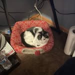 Dawson Johnson - @dawsjohns - Instagram