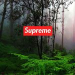 Dawson Joyner - @_lil_gatorade_ - Instagram