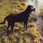 @dawsonjoyner10 - Instagram
