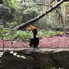dawsonlamb - @easton.lamb - TikTok