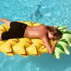 DawsonLamb - @dawsonlamb43 - TikTok