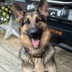 Dawson Lang - @dawsonlang18 - Instagram