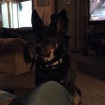 Dawson Lins - @dawsonlins - Instagram