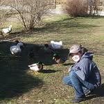 Dawson Lowery - @dawsonlowey - Instagram