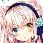Dawson Lowery - @dawson.lowery.12 - Instagram