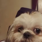 Dawson Manning - Facebook