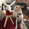 donnamccalldawson - @donnamccalldawson - TikTok