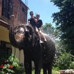 Dawson Mims - @dawsonmims - Instagram