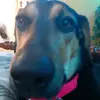 dawson murphy - @dawson._.personal - TikTok