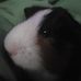 Dawson Robinson - Facebook