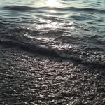 Dawson - @dawsonsharpehs7b._ - Instagram