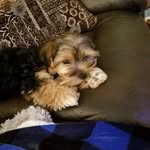 Dawson Sharp - @sharp.dawson - Instagram