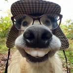 Dawson Sharp - Facebook
