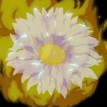 Dawson Stoneking - @stonekingdawson - Instagram
