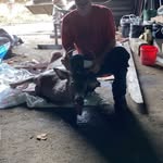 Dawson Wiseman - @dawson.wiseman.74 - Instagram