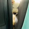 riceball420 - @kentohdaxhy - TikTok