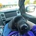 Dax Mitchell - Facebook
