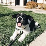 Dax 🐮 - @dax.mooney - Instagram