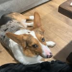 Dax/ haven - @dax_powers2 - Instagram