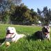 Dax Rodriguez - Facebook