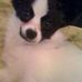 Dax Ross - Facebook