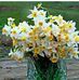 Dax Rawa - Facebook