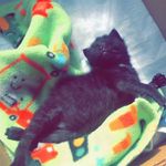 Dax scott - @daxxy.bby - Instagram