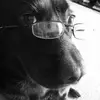 daxton_stanley - @daxton_stanley - TikTok