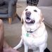 Daxie Stuart - Facebook