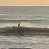 Dax Taylor - @dax.taylor3 - TikTok