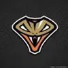 Dax Thompson - @i_play_hockey1234 - TikTok