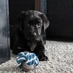 Dax Wagner - @delightful.dax - Instagram