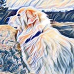 Dax Walker - @daxesaurus_thepolarbear - Instagram