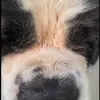 Dax Young - @dax.young5 - TikTok