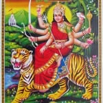 Daxa Bhatt - @daxabhatt37 - Instagram