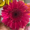 Daxa Mistry💕 - @daxa.mistry_ - TikTok